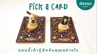 🐶🐱 ตอนนี้เค้ารู้สึกกับคุณอย่างไร 💛 : PICK A CARD