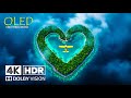 Best of OLED Demo - 4K HDR (4K Video ULTRA HD) Dolby Vision