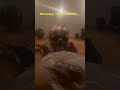 Быстрая порча наказание на рыбью голову, what’s app +79189368806