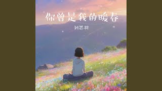 你曾是我的暖春