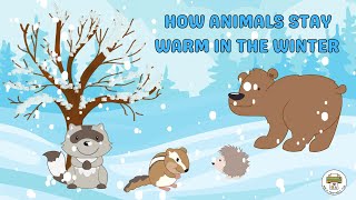 How Animals Stay Warm in the Winter