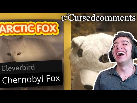 r/Cursedcomments | this makes me hurt Emkay Reaction
