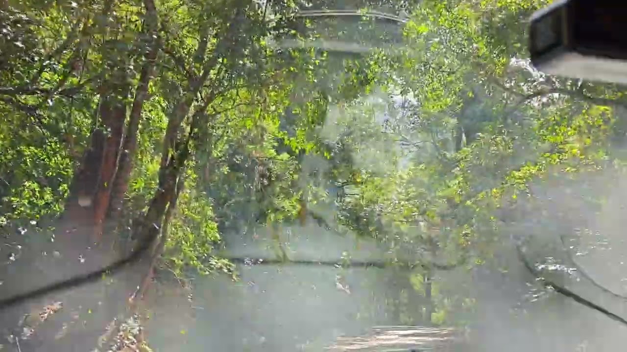 Way too kemmanagundi , chikamangalore hill station 