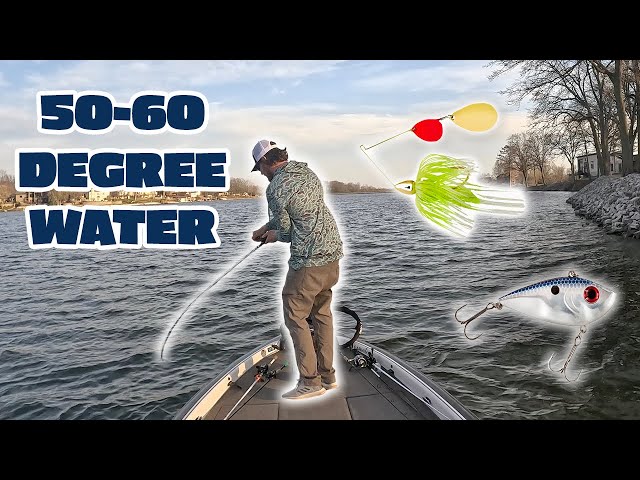 2019 abu garcia baitcaster Abu Garcia Max STX Low Profile Reel