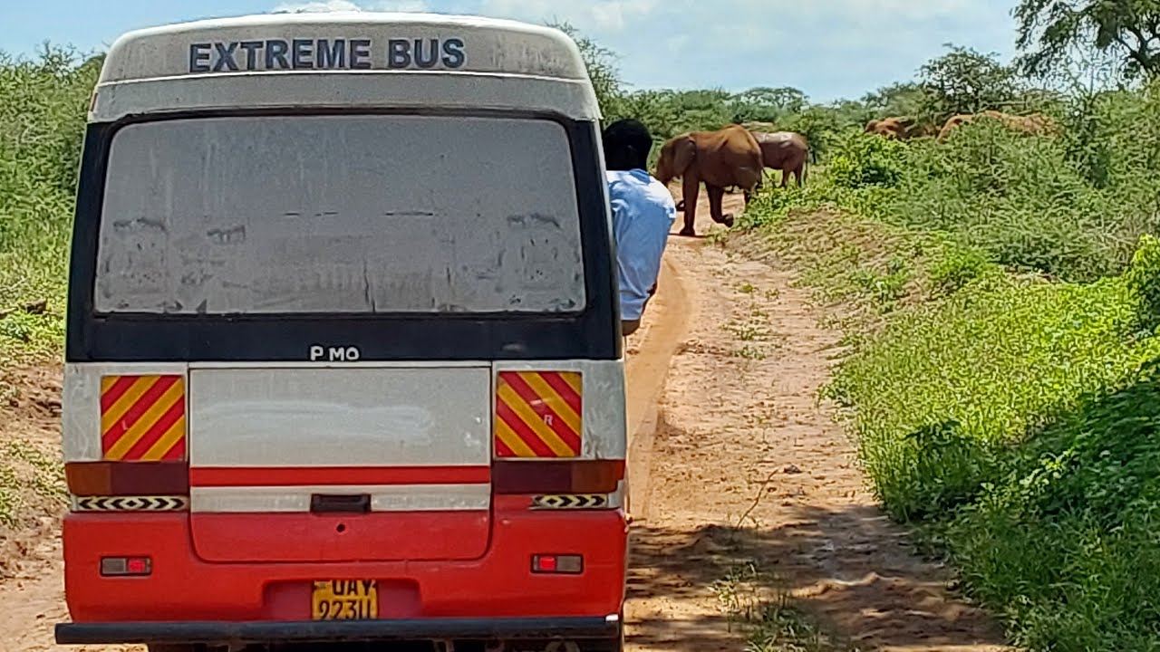 #tourandtourism #uganda #wildlife Murchison Falls National Park Tour 2024 - Extreme High School