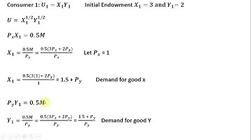 General Equilibrium: Exchange Economy with Cobb-Douglas Utility Functions
