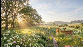 a soft may morning 🌿 piano for slow living and quiet days screenshot 5