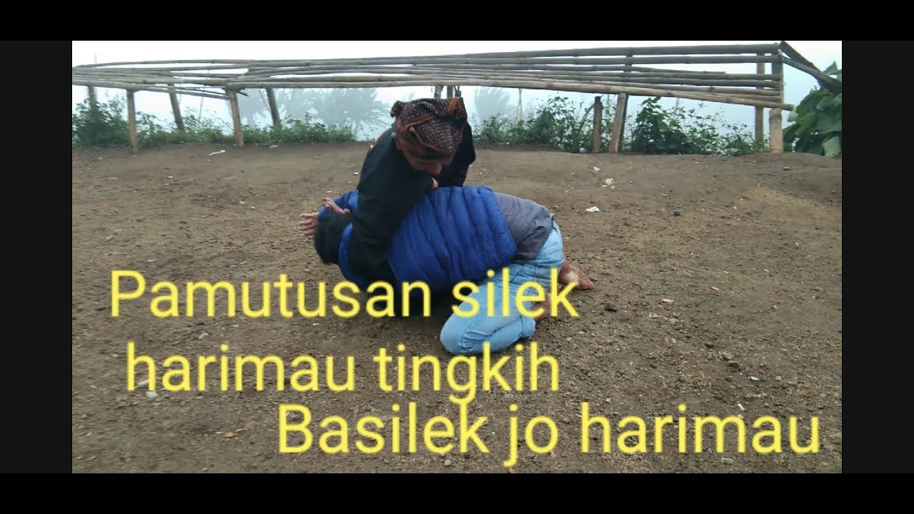 #vlogSilek Harimau Tingkih Gunung Singgalang Pandai Sikek