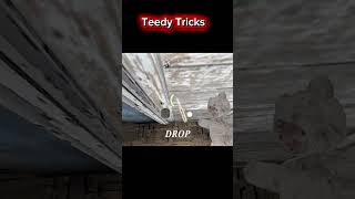 Granny 3 new scary update #granny #moonlite #shorts