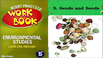 Seeds And Seeds Workbook Solutions | Class5 EVS Chapter-5 | NCERT Workbook Arihant Publication