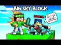 MI HANNO RUBATO I DIAMANTI E DEVO VENDICARMI su MINECRAFT! - BIG SKYBLOCK