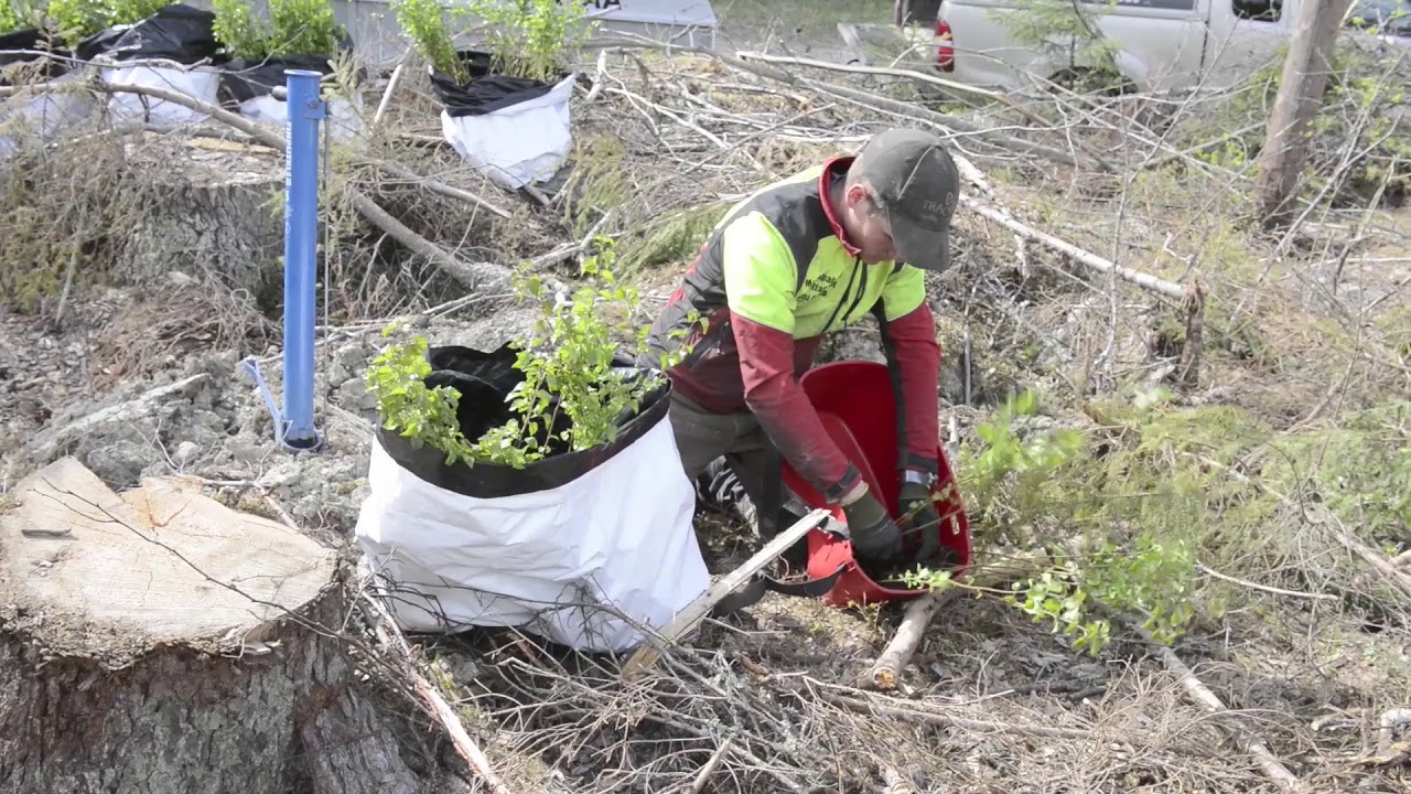 Havaintometsa Hollola