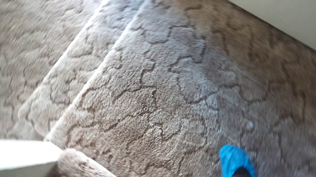 skyy blue carpet cleaning YouTube