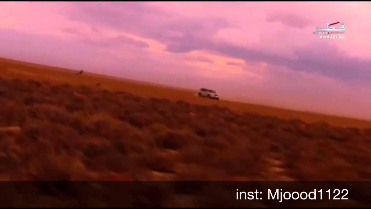 انتهاض سهيل - عبدالرحمن ال نجم