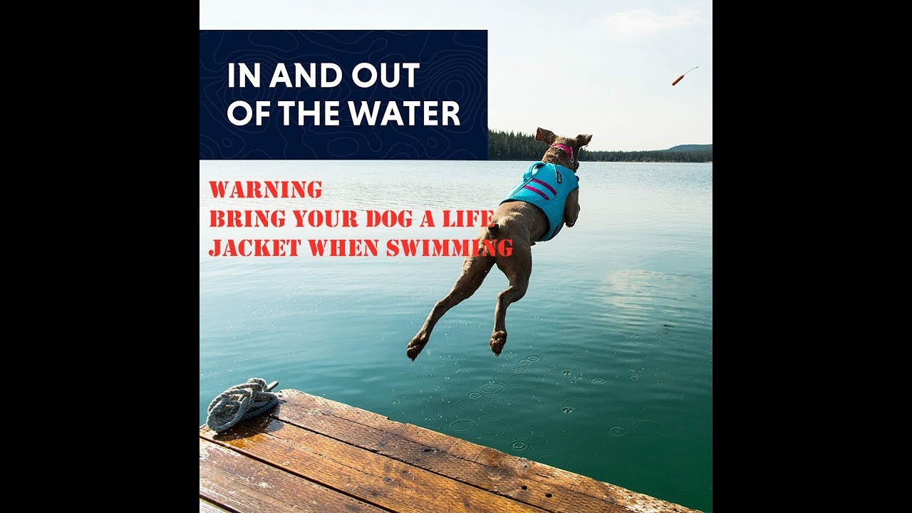 Best Dog Life Jacket 2019 TOP 10 :  Amazon 4.8 out of 5 stars