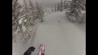 Uinta Powder