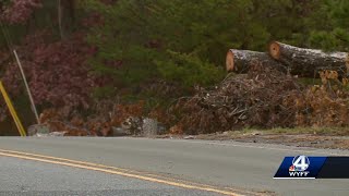 Debris cleanup efforts continue months after Hurricane Helene