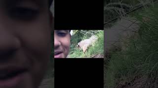 Hashimu0026muhammad First Vlog reels  trending viral funny vilogshort eid2026 vibes