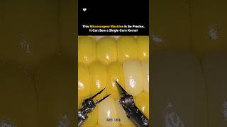 Surgical Robot Demonstrates Superhuman Precision on Corn Kernel #shorts #lab360 #scienceexperiment