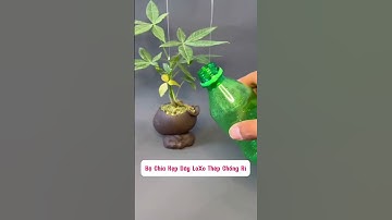 Bộ lò xo chia thẻo chống rối chống sốc cho các cần thủ câu cá lớn và thích đóng sốc! #marisfishing