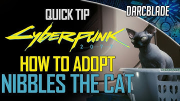 HOW TO ADOPT NIBBLES THE CAT : CYBERPUNK 2077 QUICK TIP