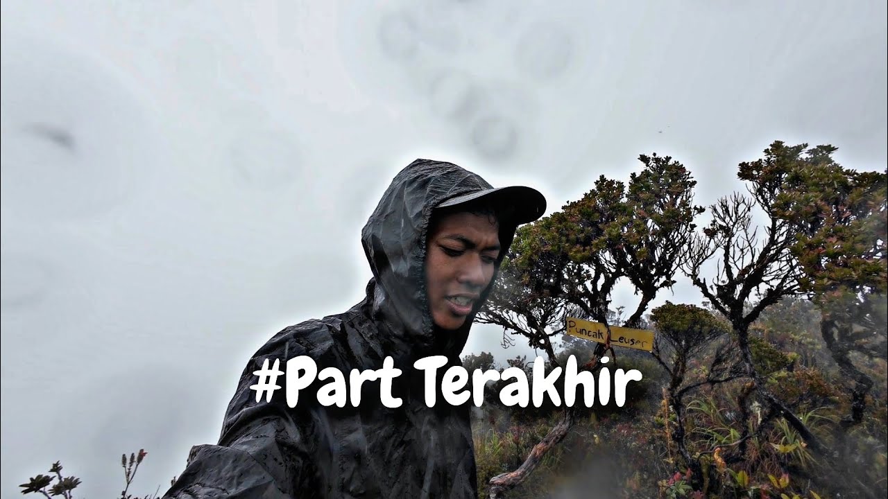 Pendakian gunung leuser || Summit Loser & Leuser