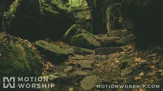 Deep Forest Rocky Ravine HD Loop by Motion Worship