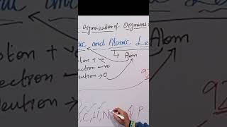 atom and sub atomic level