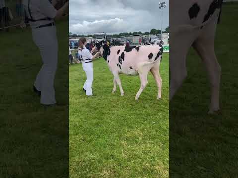 Short video