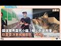 國道驚見垂死小貓！暖心折返救援　玖壹壹洋蔥收編取名「青椒」｜鏡速報 #鏡星球