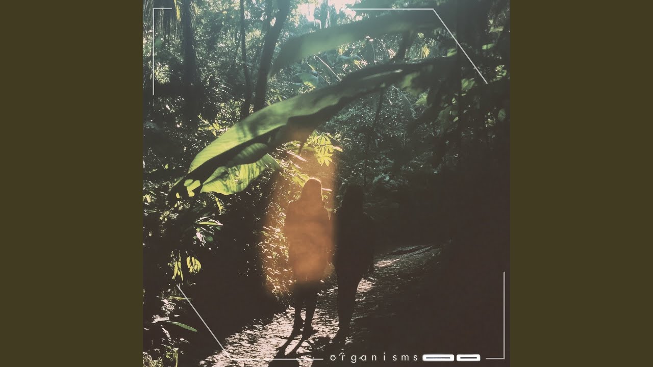 Watch Linnaeus on YouTube Watch Linnaeus on YouTube