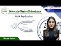 DNA Replication | Molecular Basis of Inheritance | L4 | NEET 2022/23 | Komal Yadav