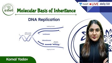 DNA Replication | Molecular Basis of Inheritance | L4 | NEET 2022/23 | Komal Yadav