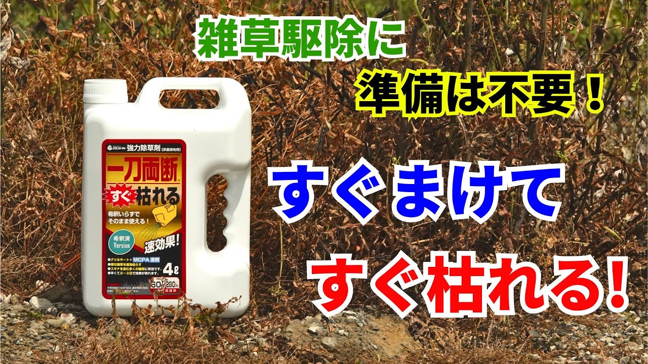 一刀両断すぐ枯れる！希釈済みバージョンが新登場！ - YouTube