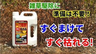 N*I様 落札キャンセルによる再出品 MOCMOC グラキリス　木製　枯れないグ 一刀両断すぐ枯れる！希釈済みバージョンが新登場！ - YouTube