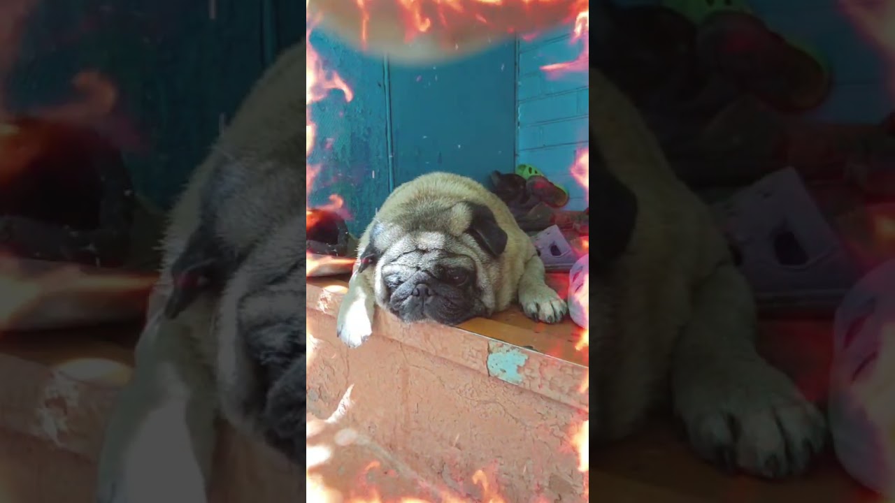 Чего-то навеяло. 