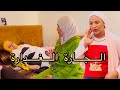 فيلم قصير حسدات جارتها حيث غادة الحج آو دارت ليها السحر الأسواد باش دامر ليها حياتها لكن مضناتش 