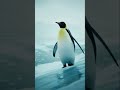 Grytviken of South Georgia #movie #film #disney #music #animation #freestyle #penguin #seal-island