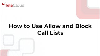 How to Use Allow and Block Call Lists in the TeleCloud Portal screenshot 4
