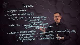 картинка: Состав и функции крови. 8 класс.