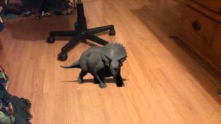 Creatures Fx Triceratops