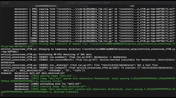 Human Brain Project (HBP) image processing pipeline for TVB