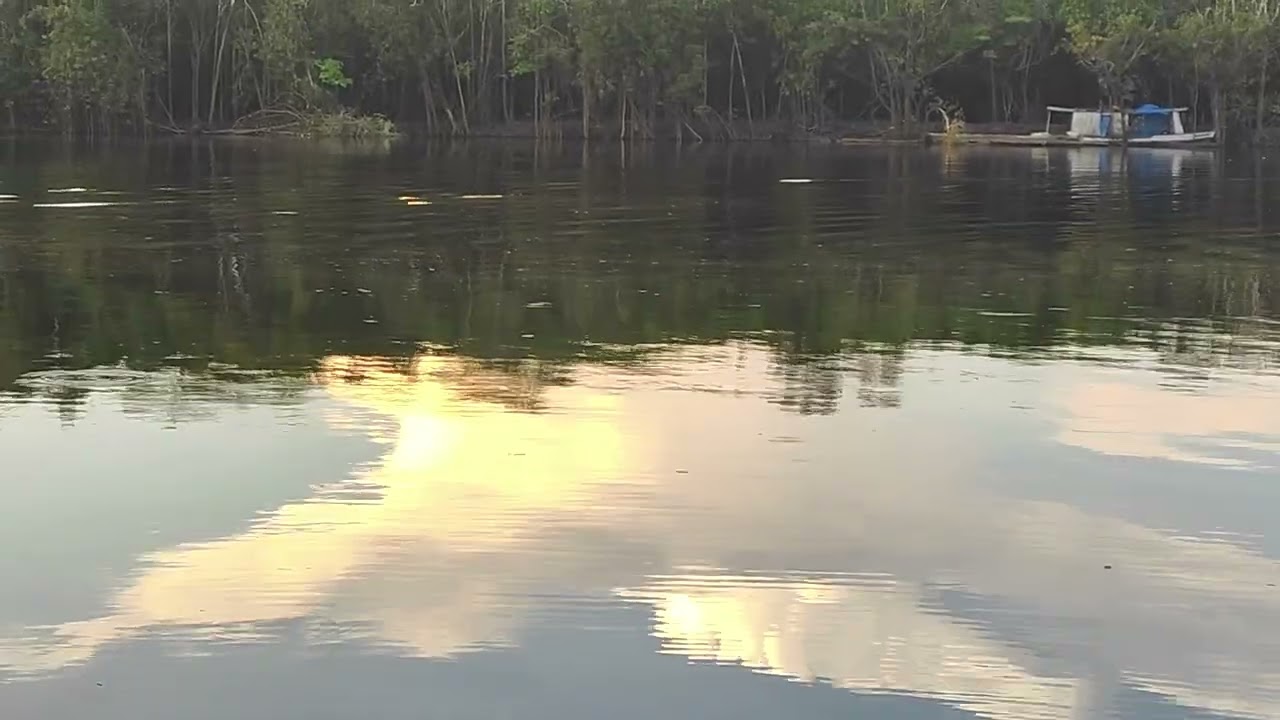 Cobra grande no igapó açu
