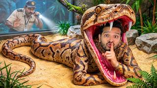 We Built a Secret McDonald’s Inside a Zoo!
