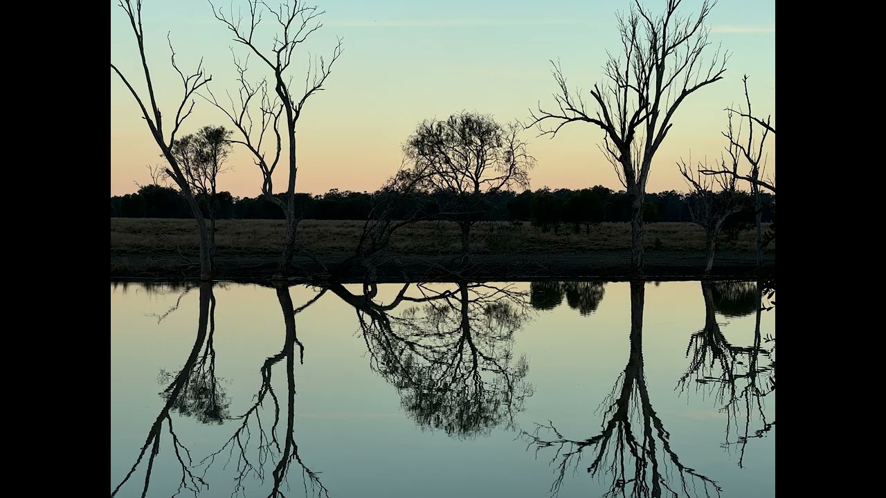 Discover the Hidden Gem: Caliguel Lagoon Campsite in Condamine, Queensland