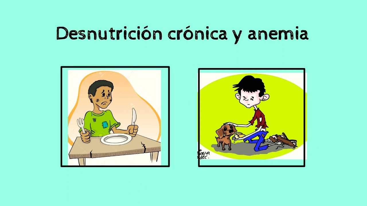 Prevención de la desnutrición crónica y anemia - thptnganamst.edu.vn