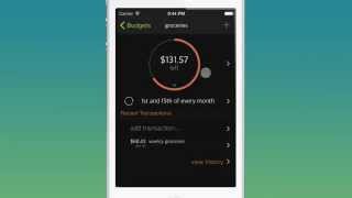 WellSpent App Walkthrough - Budgeting iPhone App screenshot 2