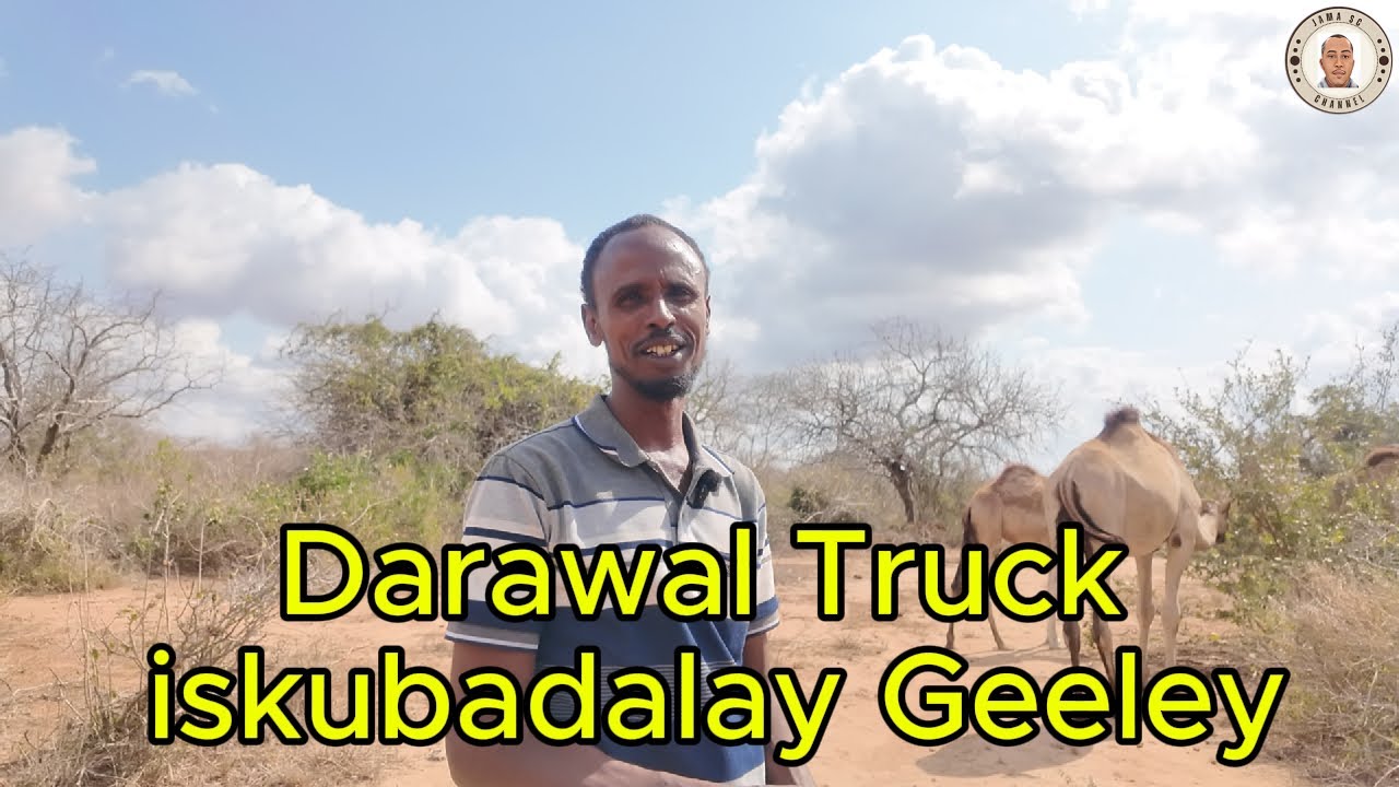 NIN TRUCK WADID KA DOORBIDAY GEEL RAAC.