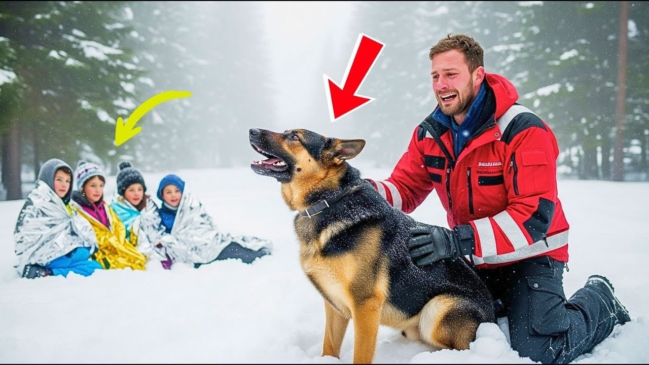 Rescue Dog Reappears After Vanishing for Years—What He Does Next Saved Four Kids Lost in th