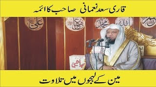 قاری سعد نعمانی  صاحب کا ائمہ  حرمین کے لہجوں میں تلاوت